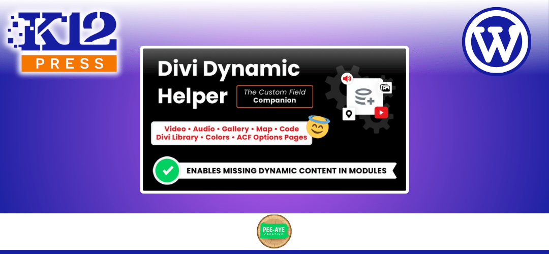 Make your Website Leap to the Next Level with the Divi Dynamic Helper Plugin